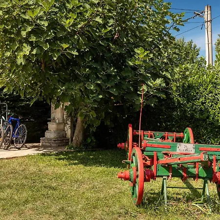 Basic * Nova Vas (Porec)