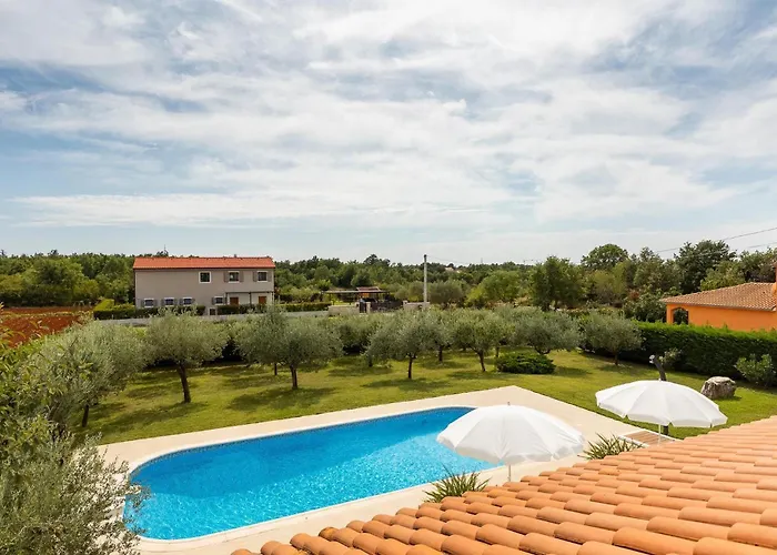 Basic Нова-Вас