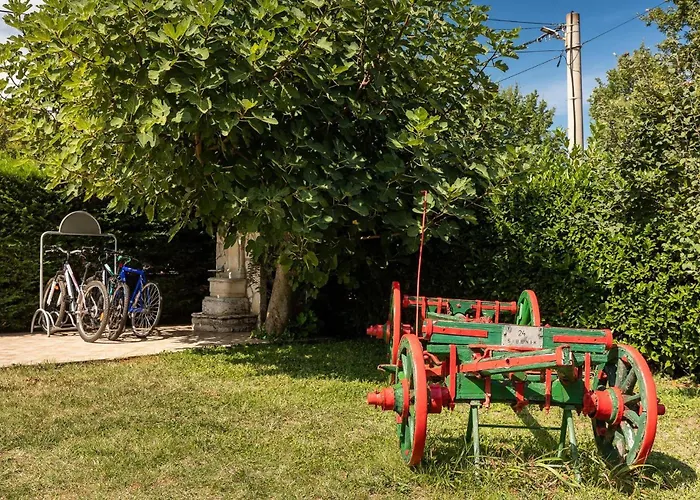 Basic * Нова-Вас