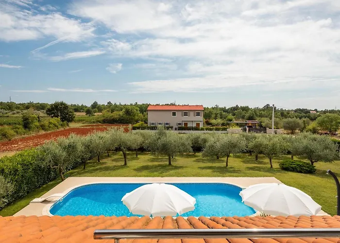 Basic Нова-Вас